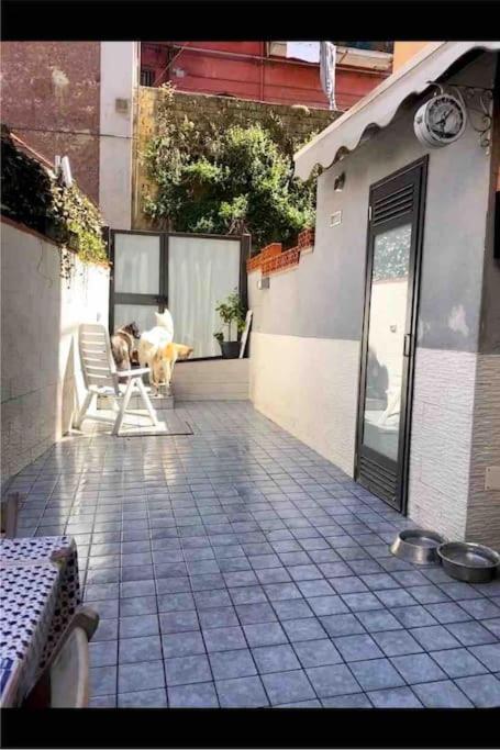 Centro Casa Con Due E Cucina *
